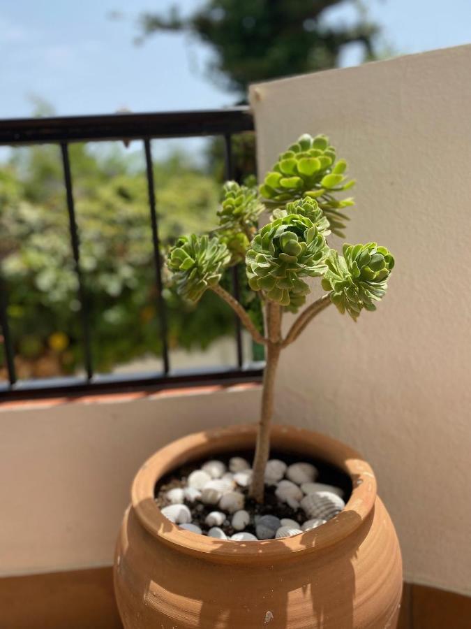Las Palmeras 3, เนร์คา ภายนอก รูปภาพ